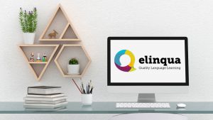 Elinqua Logo Displaying on Desktop